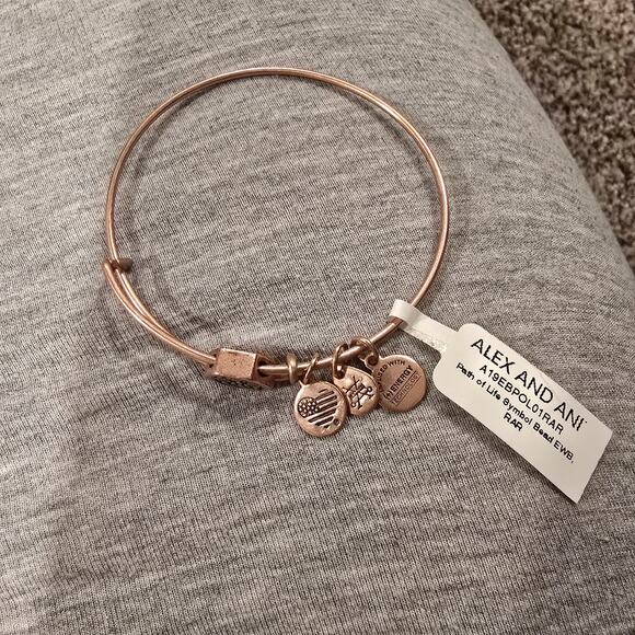 NEW NWT Alex and Ani Path of Life Slider Symbol Bead Charm Bangle Bracelet - Picture 4 of 6